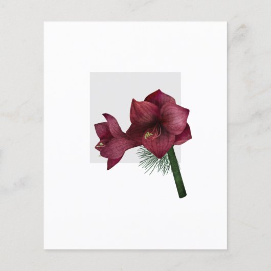 Begroting 40e verjaardag van de kerstfeestdag Uitn (Achterkant)