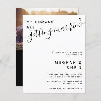 Begroting Alles in één QR Code Weddenschap