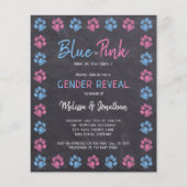 Begroting Blauw roze verf afdrukken Geslacht onthu (Voorkant)