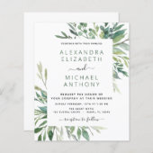 Begroting botanische groen olievlek (Voorkant / Achterkant)