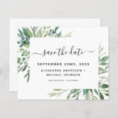 Begroting botanische groen olievlek (Voorkant / Achterkant)