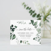 Begroting botanische groen olievlek (Staand voorkant)