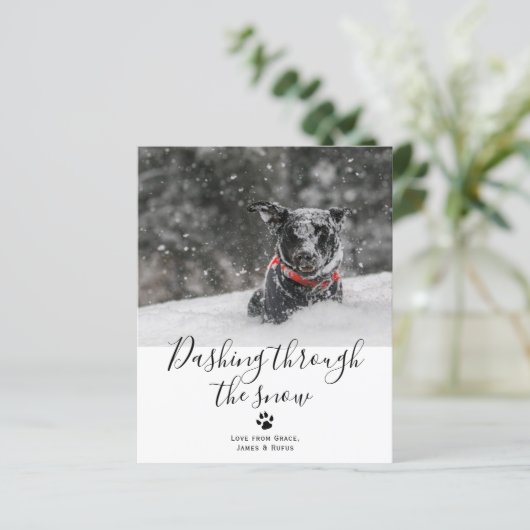 BEGROTING Dashing door de sneeuwbal kerst (Staand voorkant)