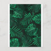 Begroting dinosaur kinderen Birthday Jurassic Uitn (Achterkant)