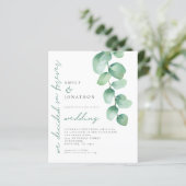 Begroting Eucalyptus beslist over de uitnodiging v (Staand voorkant)