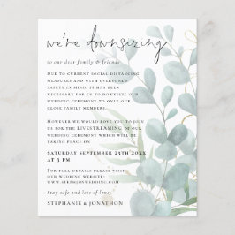 Begroting Eucalyptus downsiderend Livestream Weddi