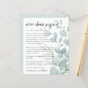 Begroting Eucalyptus downsize Livestream Weddensch