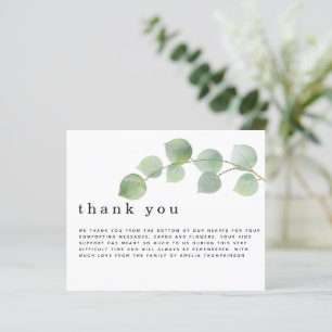 Begroting Eucalyptus Funeral Sympathie