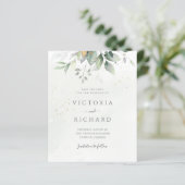 Begroting Eucalyptus Green Foliage bespaart datum (Staand voorkant)