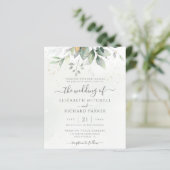 Begroting Eucalyptus Greenery laat de legante brui (Staand voorkant)