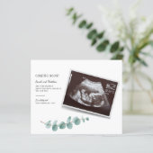 Begroting Eucalyptus Greenery Zwangerschap Baby (Staand voorkant)