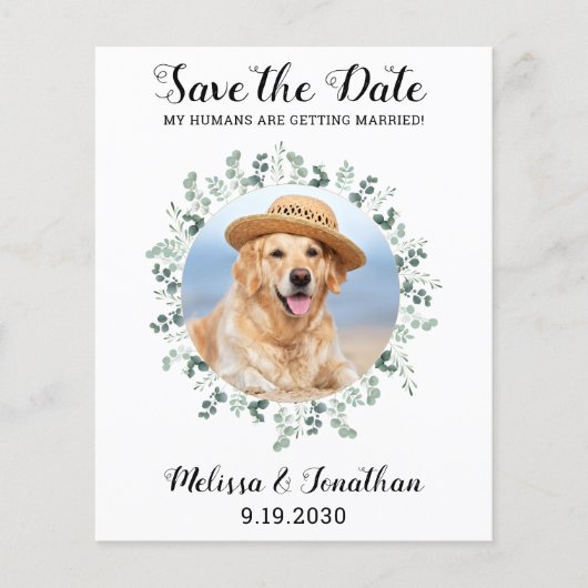 Begroting Eucalyptus Pet Wedding Dog bewaart de da (Voorkant)