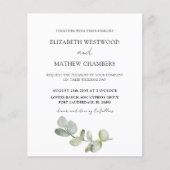 Begroting Eucalyptus Sage Green Weddenschap (Voorkant)