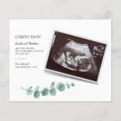 Begroting Eucalyptus Zwangerschap Baby (Voorkant)