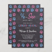 Begroting Geslacht Verf Afdrukken Blauw Roze (Voorkant / Achterkant)