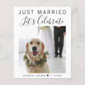 Begroting gewoon gehuwde foto-weduwschap (Voorkant)