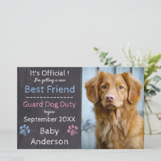 Begroting Guard Dog Zwangerschap Aankondiging (Staand voorkant)