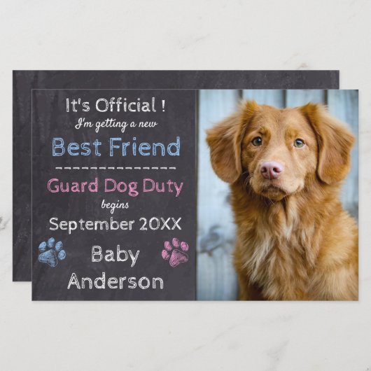 Begroting Guard Dog Zwangerschap Aankondiging (Voorkant / Achterkant)