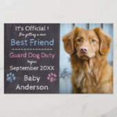 Begroting Guard Dog Zwangerschap Aankondiging (Voorkant)