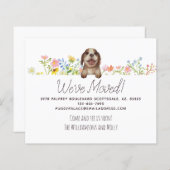 Begroting hebben we verplaatst. Beagle Puppy Flora (Voorkant / Achterkant)