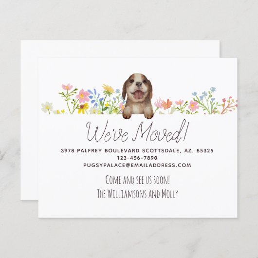 Begroting hebben we verplaatst. Beagle Puppy Flora (Voorkant / Achterkant)