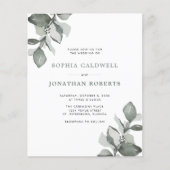 Begroting helemaal in één mosterd groene eucalyptu (Voorkant)