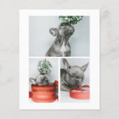 BEGROTING Het is een roofjaar geweest voor kerstmi (Achterkant)