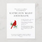 BEGROTING Kardinale viering van het levensonderhou (Voorkant)