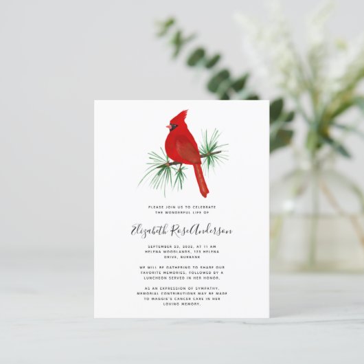 BEGROTING Kardinale viering van het levensonderhou (Staand voorkant)