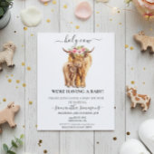 Begroting Koe Hoogland Calf Baby shower