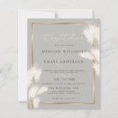 Begroting maar prachtig Elegant Ivory Pampas Grass (Voorkant)