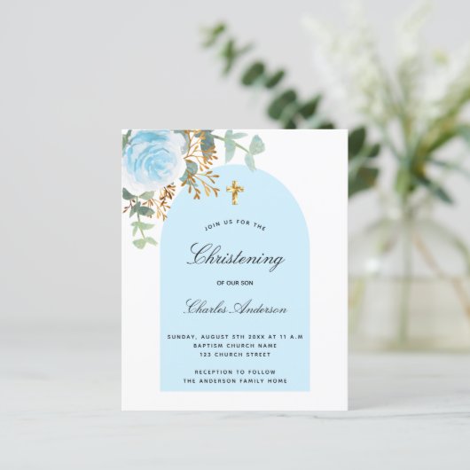 Begroting met eucalyptusblauw (Staand voorkant)