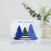 Begroting met kerstblauwe lijn (Staand voorkant)