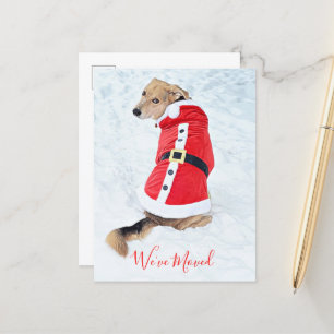 Begroting met kerstcadeau in Cute Red Santa Suit Briefkaart