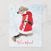Begroting met kerstcadeau in Cute Red Santa Suit Briefkaart (Voorkant)