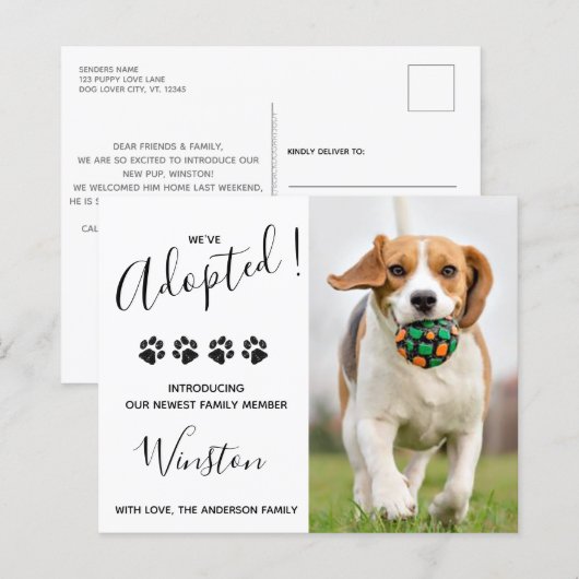 Begroting nieuw pakket We hebben Puppy Dog Announc (Voorkant / Achterkant)