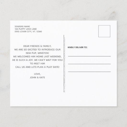 Begroting nieuw pakket We hebben Puppy Dog Announc (Achterkant)