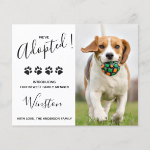 Begroting nieuw pakket We hebben Puppy Dog Announc