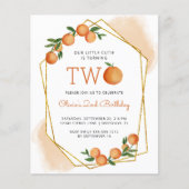 Begroting Oranje uitnodiging tot tweede bezuinigin (Voorkant)