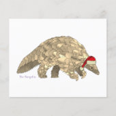 Begroting Pangolin Cute Santa Endangered Species (Voorkant)