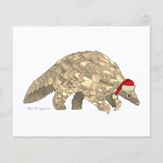Begroting Pangolin Cute Santa Endangered Species (Voorkant)
