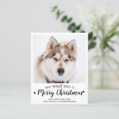 Begroting prettige kerst van de Dog Pet-fotokaart (Staand voorkant)