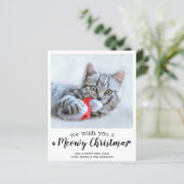 Begroting prettige kerst van de Kat Pet-fotokaart (Staand voorkant)