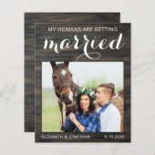 Begroting Rustic Equine Wedding Horse Save the Dat (Voorkant / Achterkant)