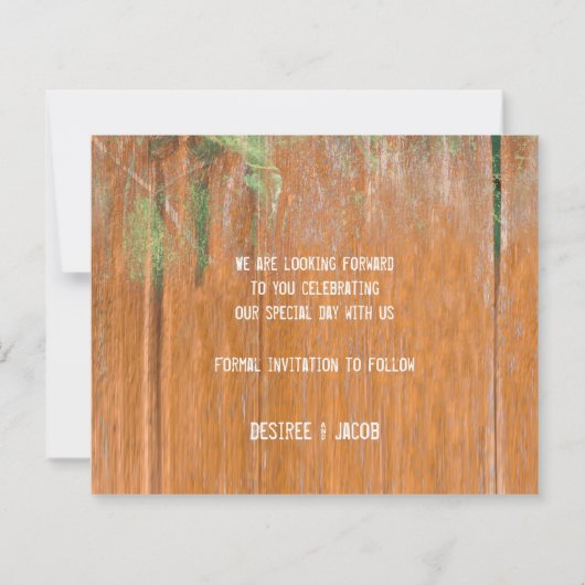 Begroting Rustige zonnebloemen Bull Skull Save the (Achterkant)