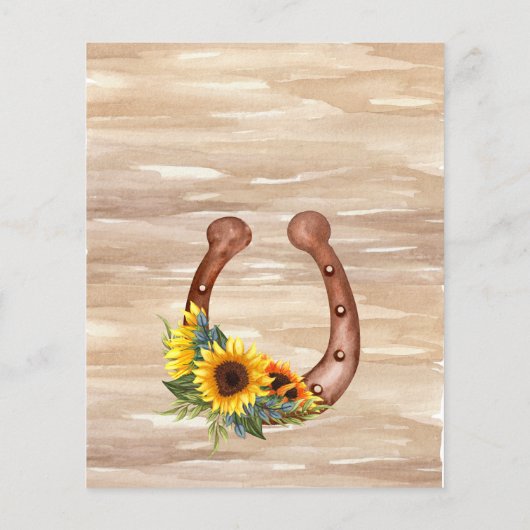 Begroting Rustische cowboylaarzen vilt pet zonnebl (Achterkant)