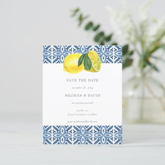 Begroting Siciliaanse mediterrane Lemon sparen dat (Staand voorkant)