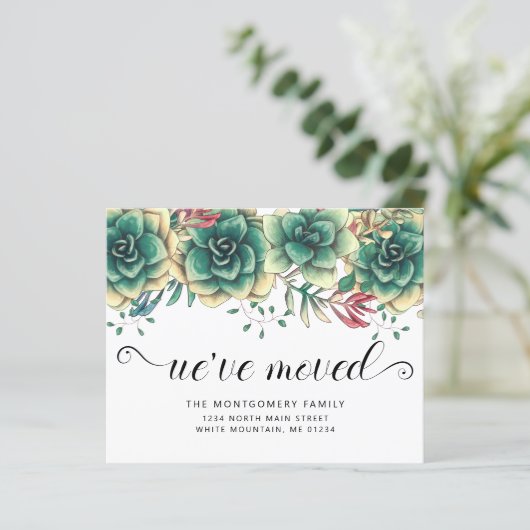 Begroting Succulents Hens Chicks Moving Announge (Staand voorkant)