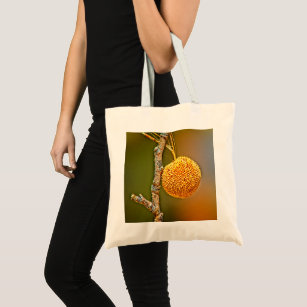 Begroting Sycamore Seed Ball Tote Bag