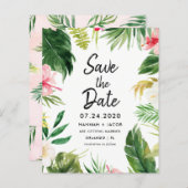 Begroting Tropisch laat Luau de data redden (Voorkant / Achterkant)